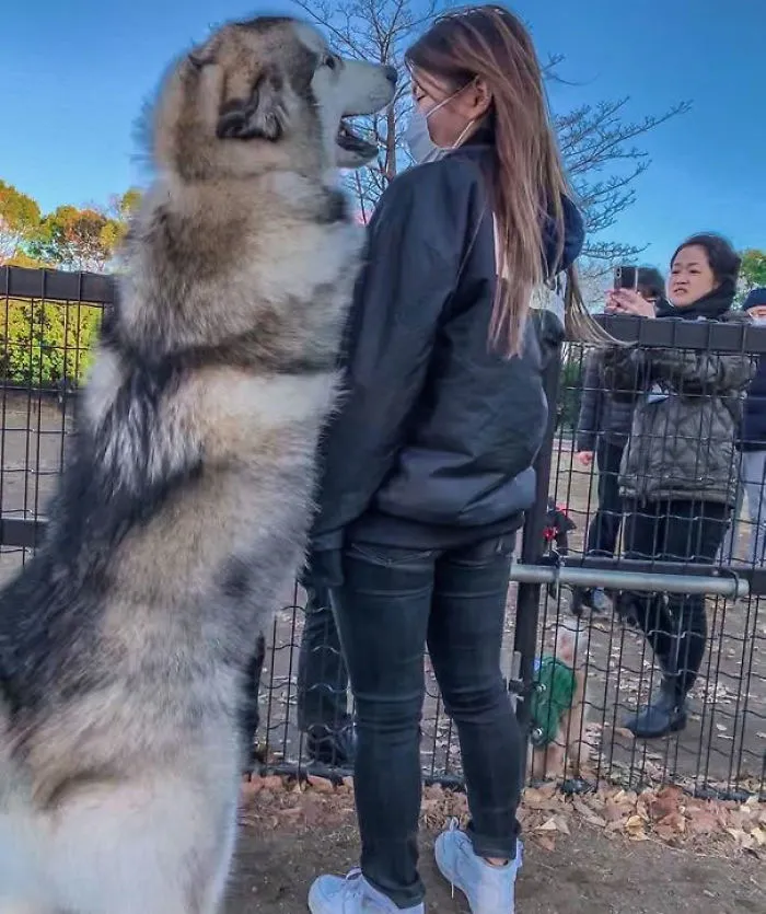 Aún es mi cachorro