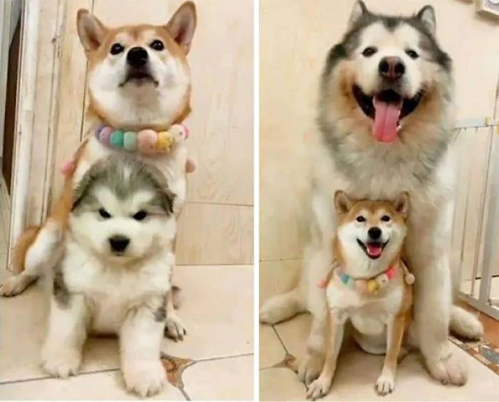 Was My Big Bro, Now... Still My Big Bro