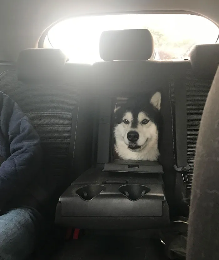 Hello, Do You Have A Moment To Talk About Jesus Christ?