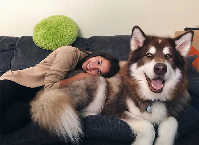 Because Dogs Are The Best Cuddle Buddies