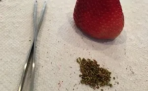35 People Who Are Beyond Bored While Having To Stay At Home