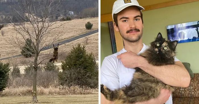 Owners Share Hilarious Pic Of Their "Missing" Cat That They Couldn't Find Anywhere