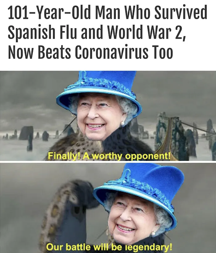 This Meme Will Never End