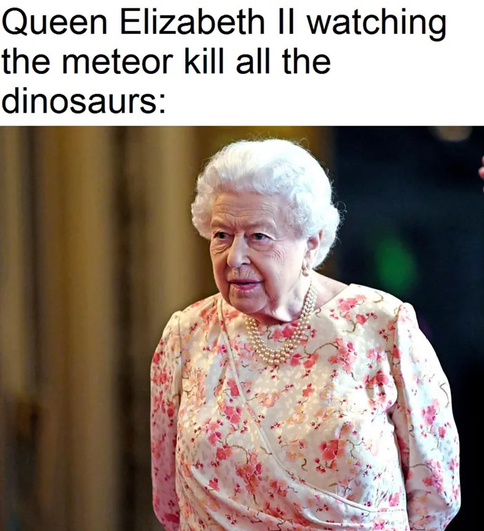 She Saw It All Happen