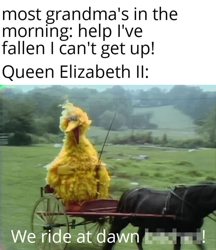 She's One Tough Cookie
