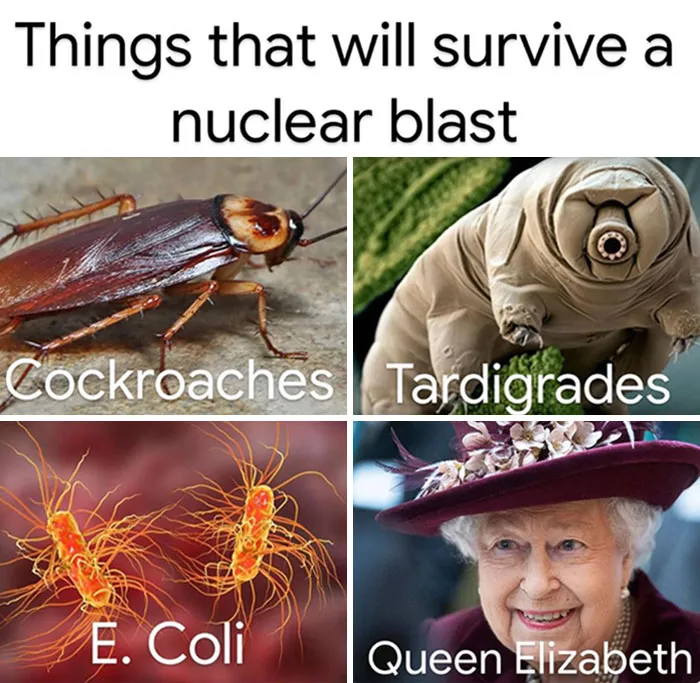 Is It Possible To Learn This Power?