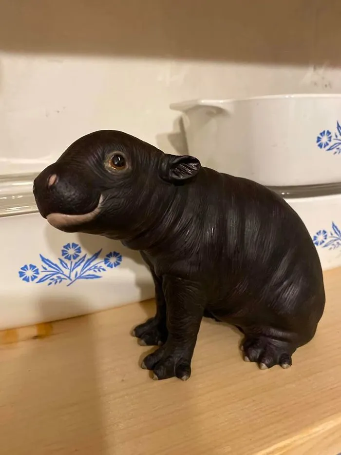 Chippo el hipopótamo