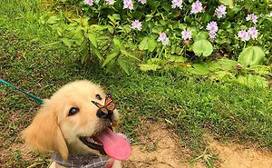 50 Times People Captured Such Perfectly Timed Pics, They Had To Celebrate It By Sharing Them Online