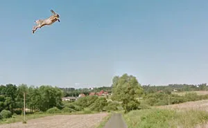 I Used Google Street View To Explore Poland During Quarantine, Here's What I Found (30 Pics)