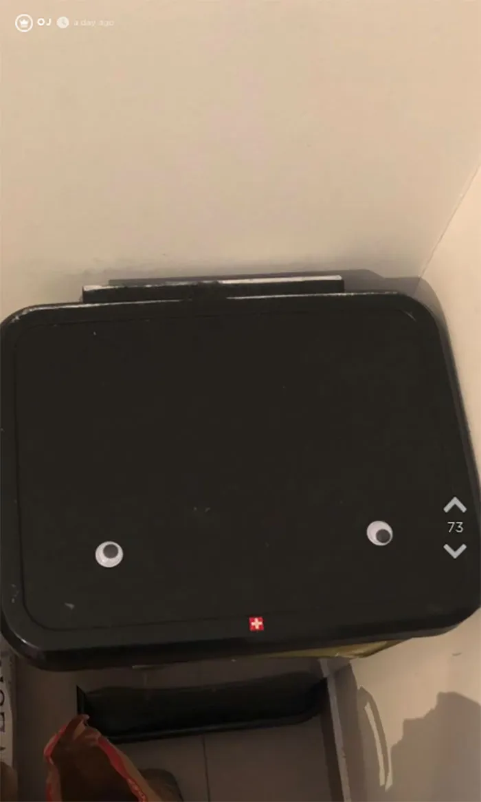 Girlfriend Orders 1K Googly Eyes, Spends 2 Hours Sticking Half Of Them On Everything In Her Boyfriend's Apartment