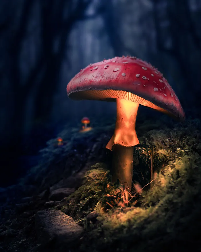I Developed My Own Editing Style That Makes The World Look Magical (49 Pics)
