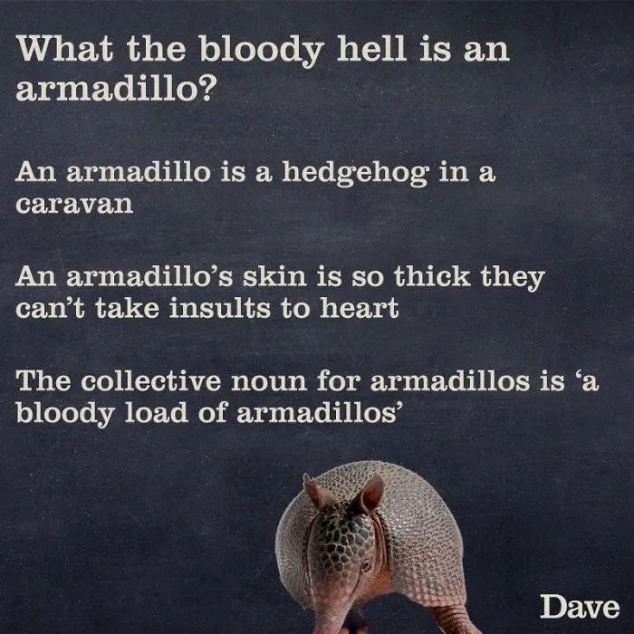 Dave Releases 30 Animal 'Guides' And They're So Ridiculous, They're Hilarious