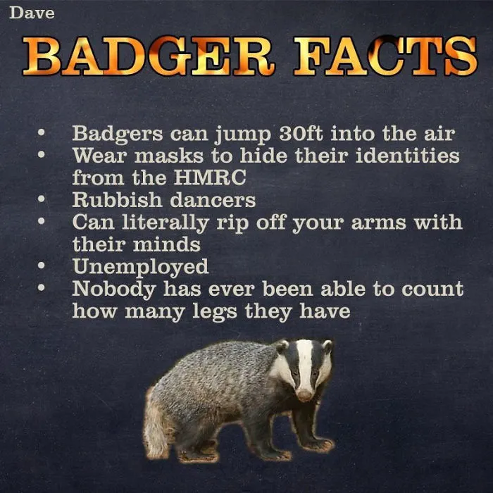 Dave Releases 30 Animal 'Guides' And They're So Ridiculous, They're Hilarious