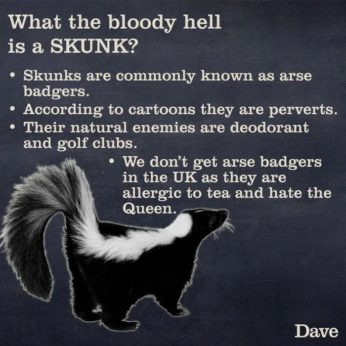 Dave Releases 30 Animal 'Guides' And They're So Ridiculous, They're Hilarious