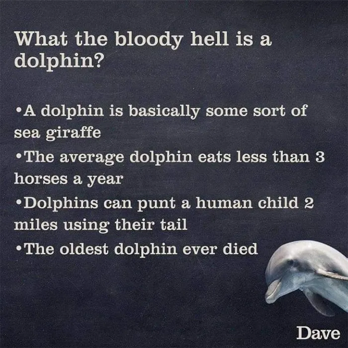 Dave Releases 30 Animal 'Guides' And They're So Ridiculous, They're Hilarious