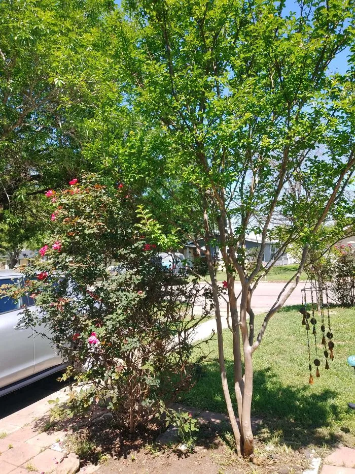 San Antonio, Texas