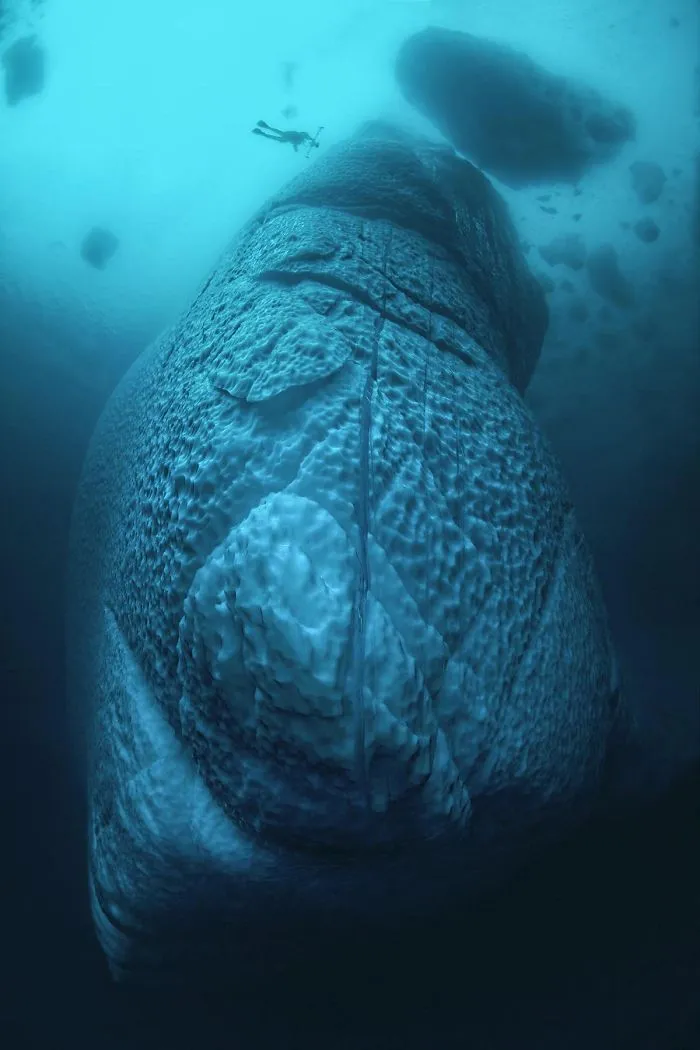 11 Stunning Photos Of What’s Hiding Under The Tip Of The Iceberg By Tobias Friedrich