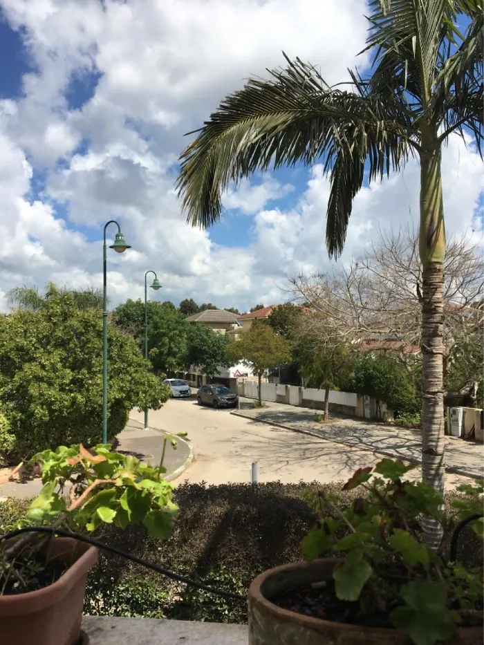 Sunday Morning In Pardes Hanna, Israel