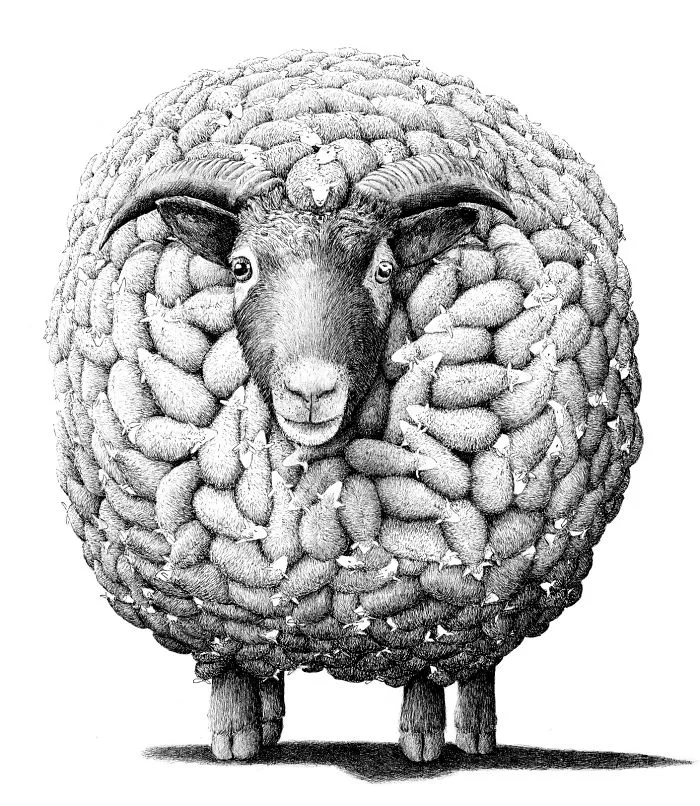 My 70 Drawings That Illustrate The Way My Mind Works