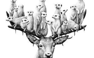 My 70 Drawings That Illustrate The Way My Mind Works