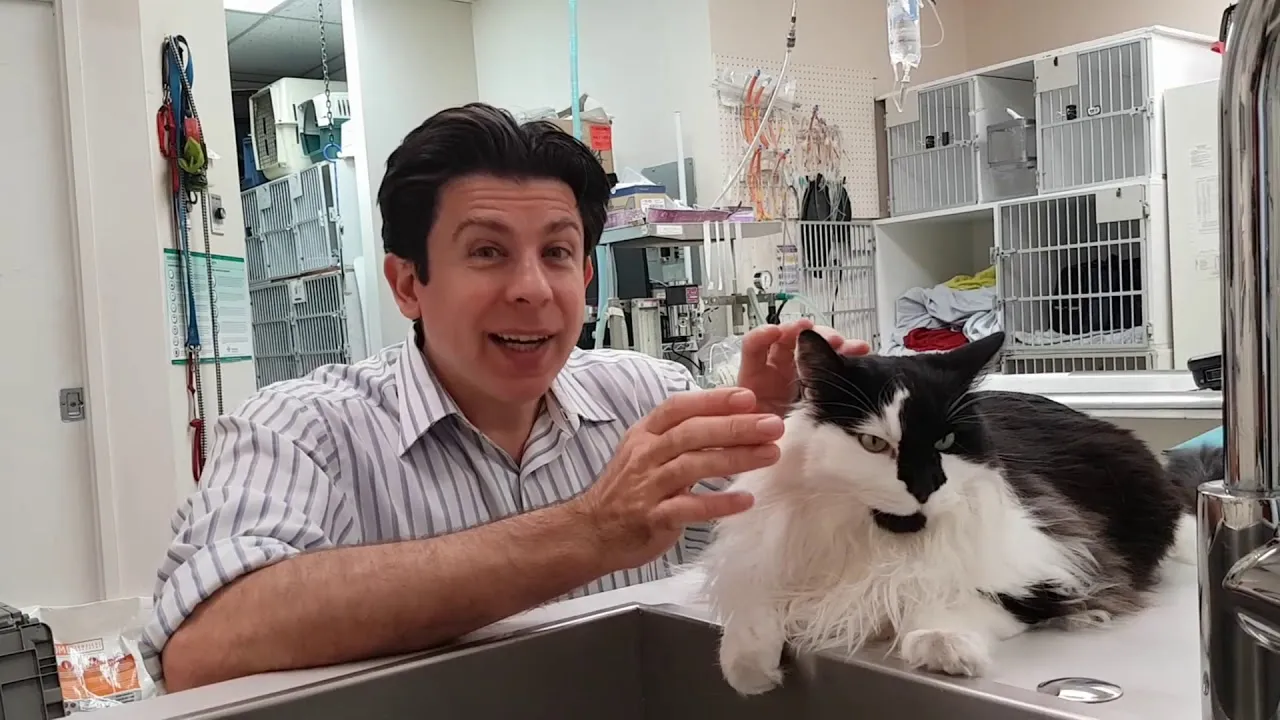 I Taught You How To "Squish That Cat" Like A Pro, Now Let Me Show You How To Protect Your Family By Washing Your Hands Like One.