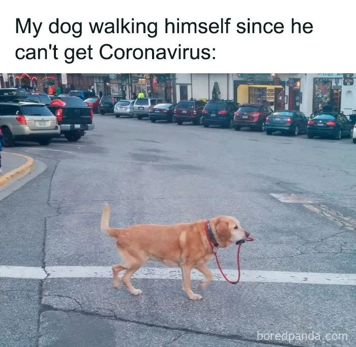 People Aren’t Losing Their Sense Of Humor During The Coronapocalypse And Here’s 30 Pics To Prove It (New Pics)