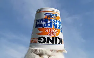Shiro, The Most Relaxed Cat On Earth, Has Passed Away At Age 18 (35 Photos)