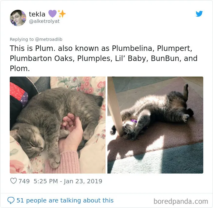 People Are Sharing The Hilarious Names They Now Call Their Pets Instead Of Their Original Ones (New Pics)