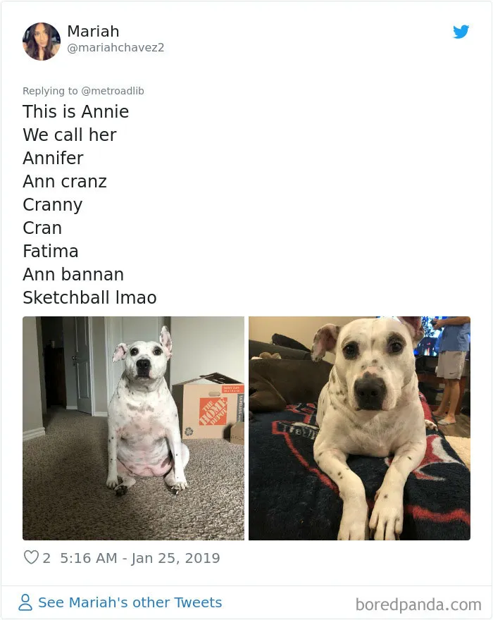 People Are Sharing The Hilarious Names They Now Call Their Pets Instead Of Their Original Ones (New Pics)