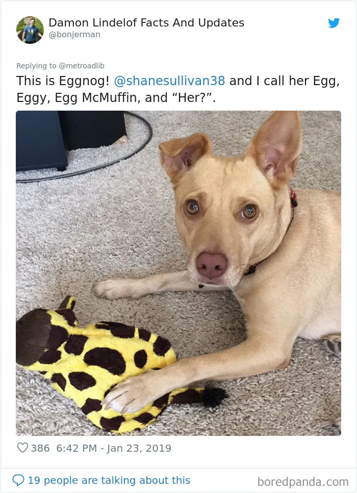 People Are Sharing The Hilarious Names They Now Call Their Pets Instead Of Their Original Ones (New Pics)