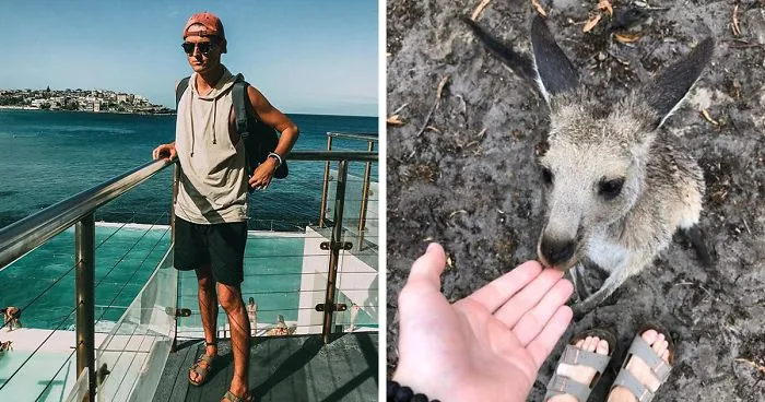 Man Gets Drunk On New Year's Eve And Adopts A Baby Kangaroo, Realizes It Months Later