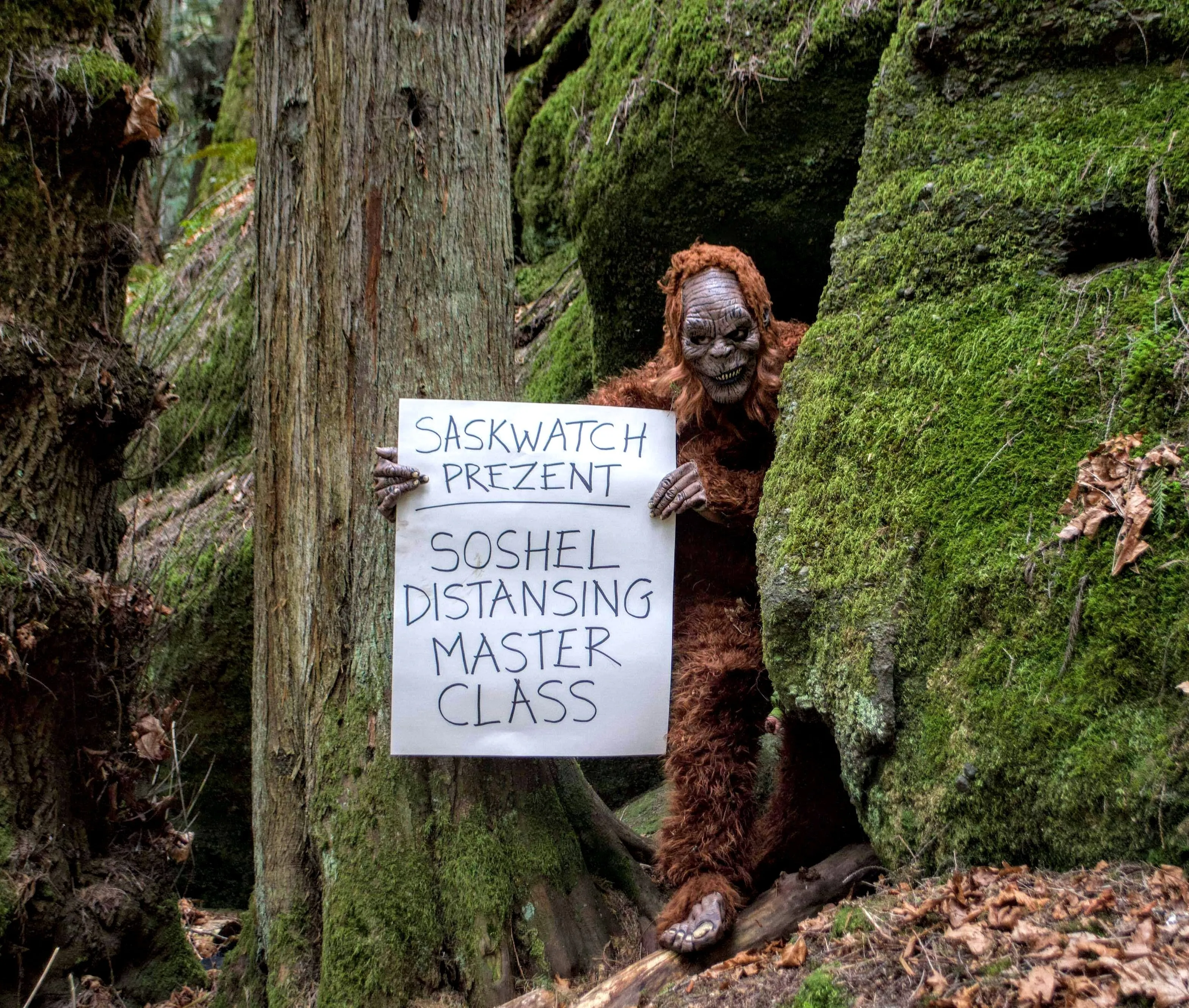 Canadian "Sasquatch" Gives Social Distancing Lessons To Humanity