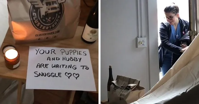 Guy Constructed A Fort For His Stressed Doctor Wife To Relax In After Work During The Pandemic