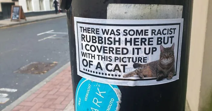 Someone In Manchester Keeps Covering Up Racist Graffiti With Cat Stickers