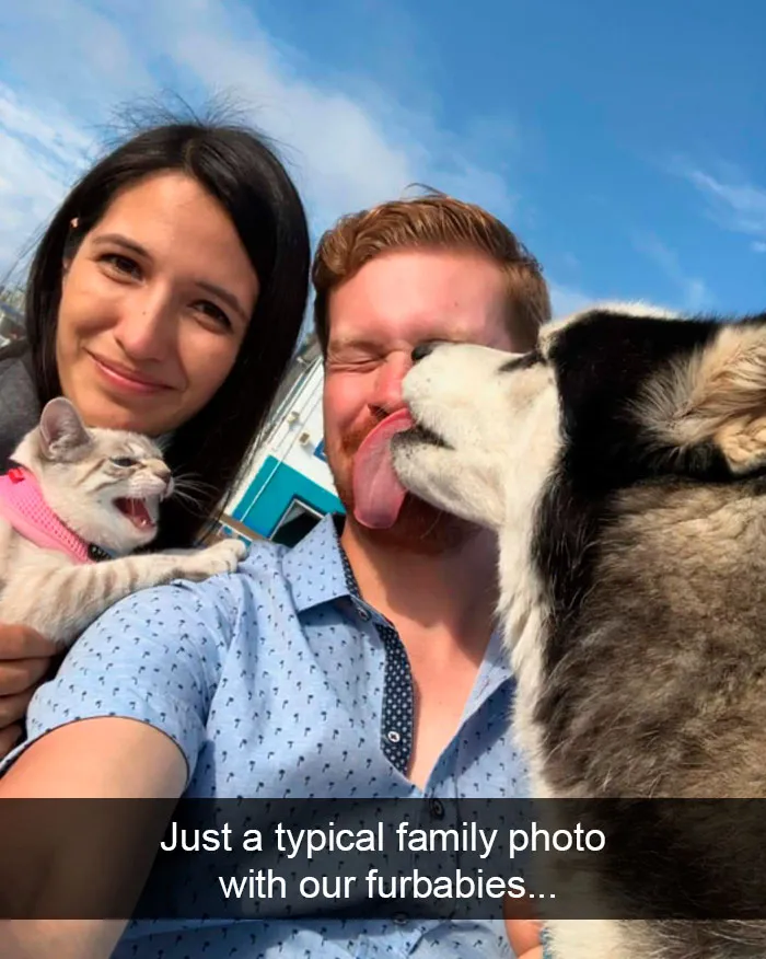 35 Hilarious Cat Snapchats That Will Put A Smile On Your Face (New Pics)