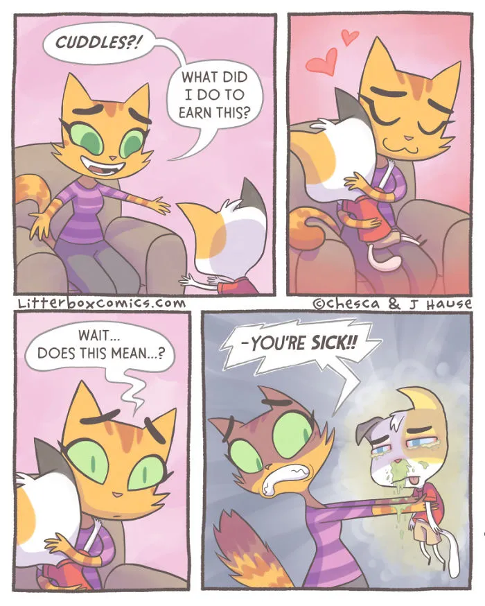 Surprise Cuddles
