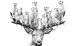 My 70 Drawings That Illustrate The Way My Mind Works