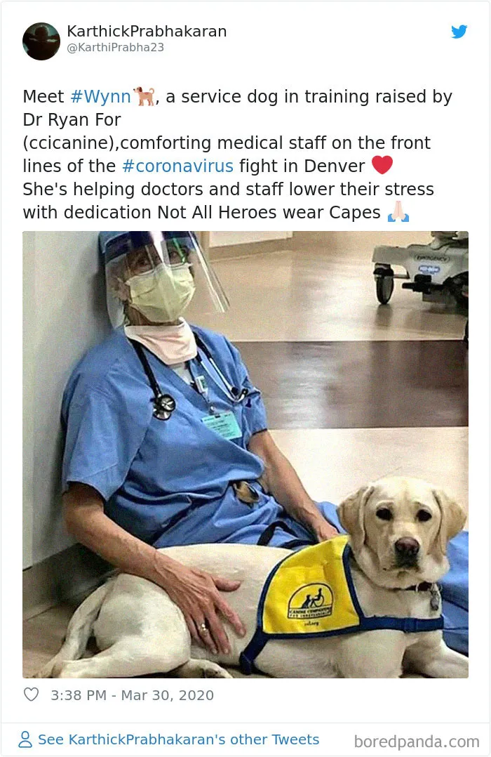 If You Think People Are The Worst These Days, These 35 Wholesome Pics May Change Your Mind (New Pics)
