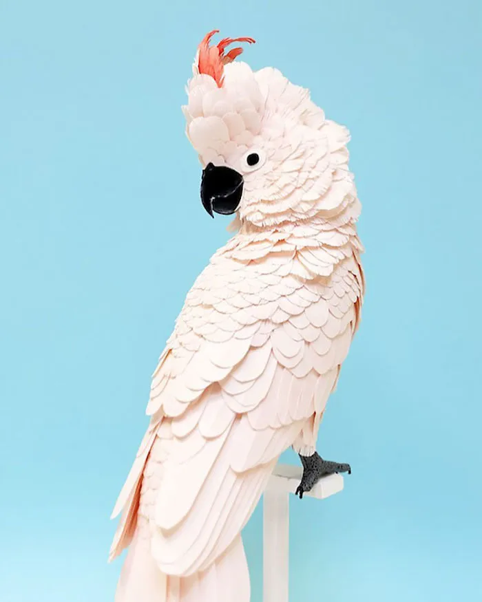 Artist Uses Paper To Recreate Bird Species All Around The World (30 Pics)