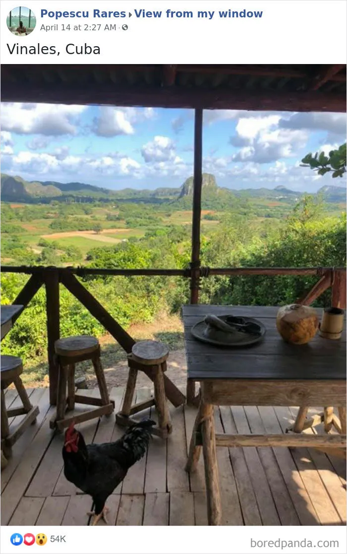 Insanely Popular Online Group Has People Sharing Their 'View From My Window' And Here Are The 40 Best Submissions
