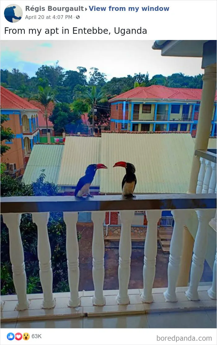 Insanely Popular Online Group Has People Sharing Their 'View From My Window' And Here Are The 40 Best Submissions