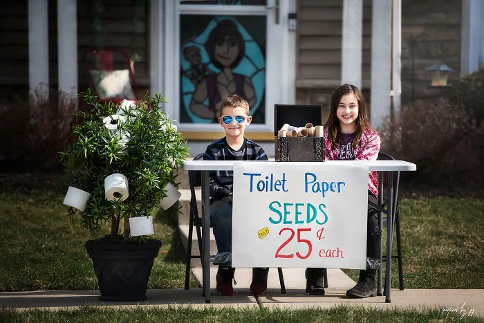 Toilet Paper Seeds For Sale