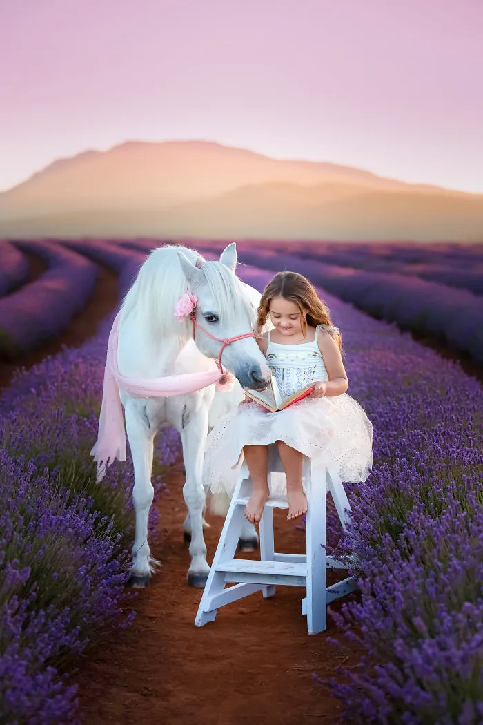 Every January, I Go To Blooming Lavender Fields In Tasmania To Take These Dreamy Photos Of Pets (100 Pics)