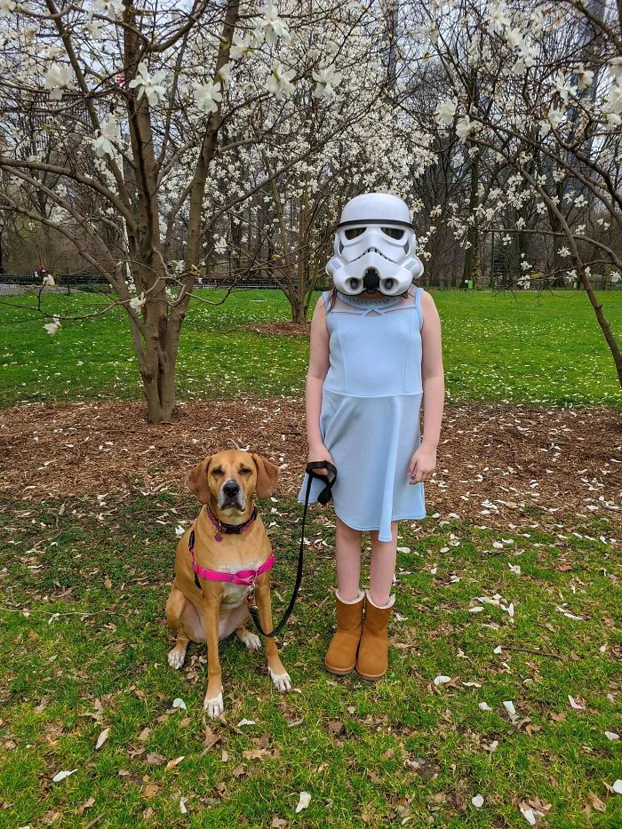 When My Daughter Has No Face Mask To Go Outside But Says "Don't Worry Dad, I Got This!"