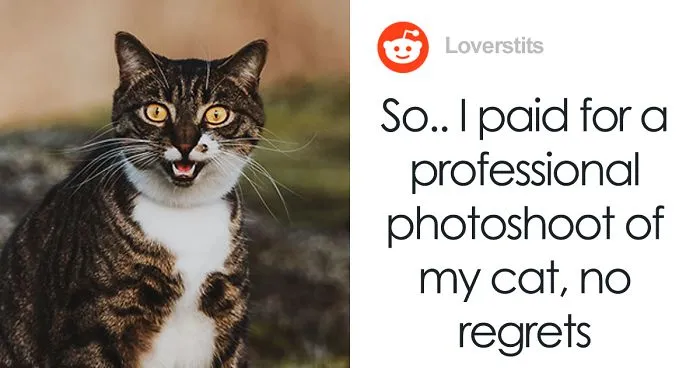 Woman Buys Her Cat A Professional Photoshoot, Has Zero Regrets (17 Pics)