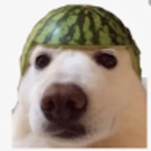 Wottermehlon Doge