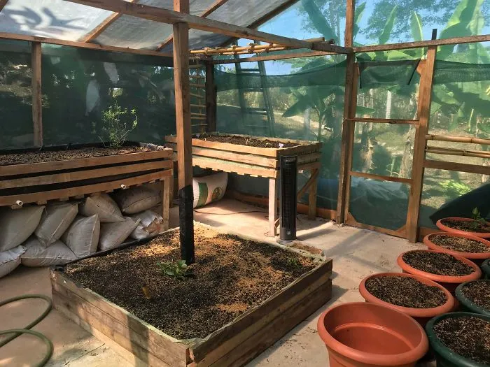 People In Quarantine Finally Have The Time For Cool Projects, And Here Are 32 Of The Most Creative Ones
