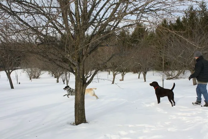 Wife's Second Picture With A Dslr And She Gets A "Perfect Timing" Shot