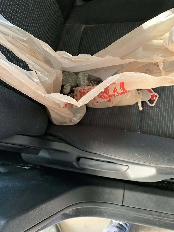 I Brought A Bag Of Used Cat Litter With Me To Throw Away On The Way To Work. I Also Brought My Lunch. Guess Which One Came To Work With Me