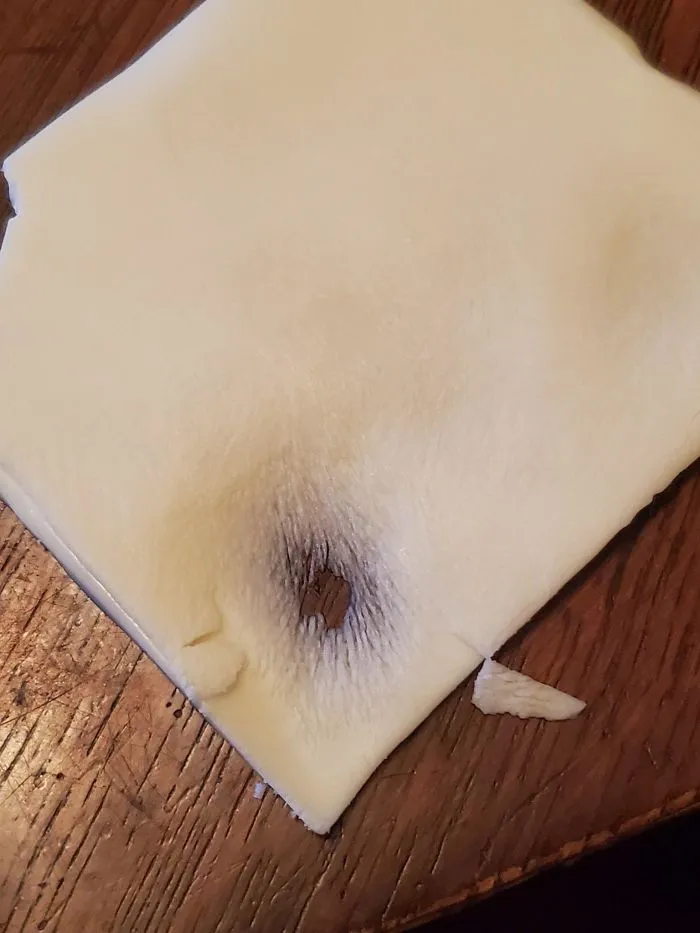 Cuando un gato lame una loncha de queso
